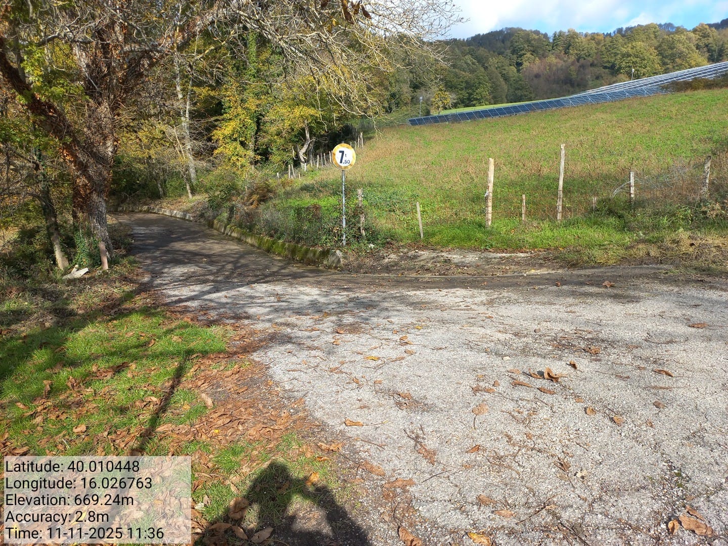 Galleria Fotografica Immagine