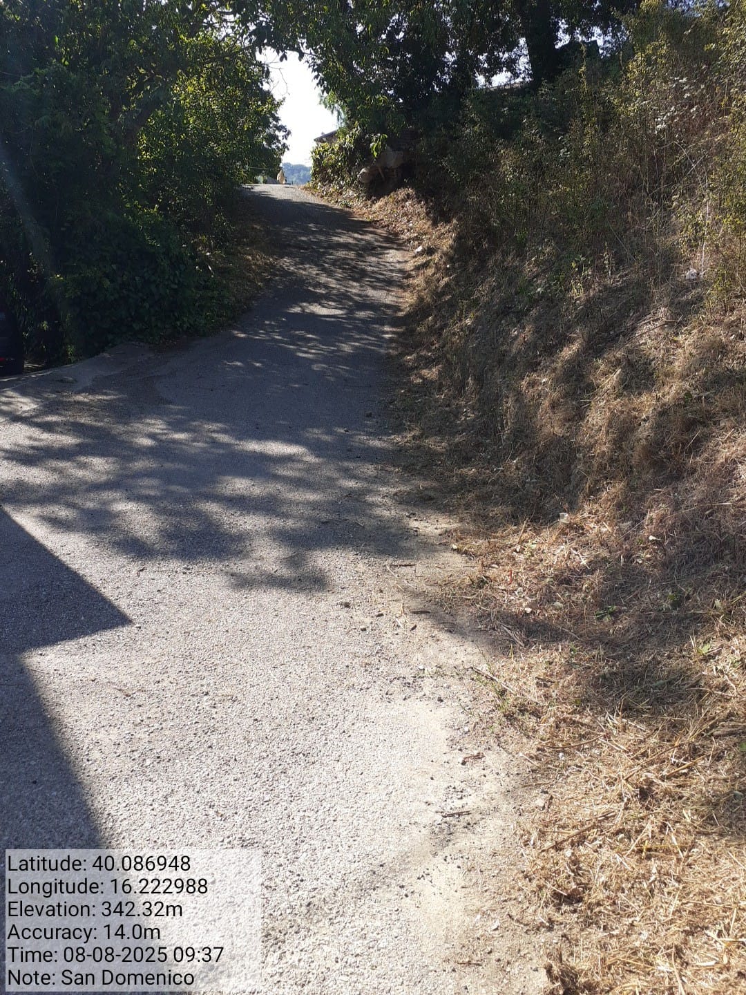 Galleria Fotografica Immagine