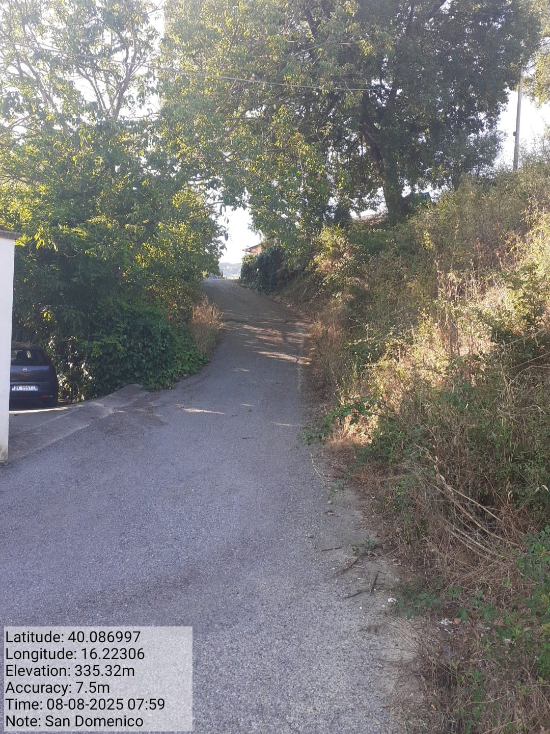 Galleria Fotografica Immagine