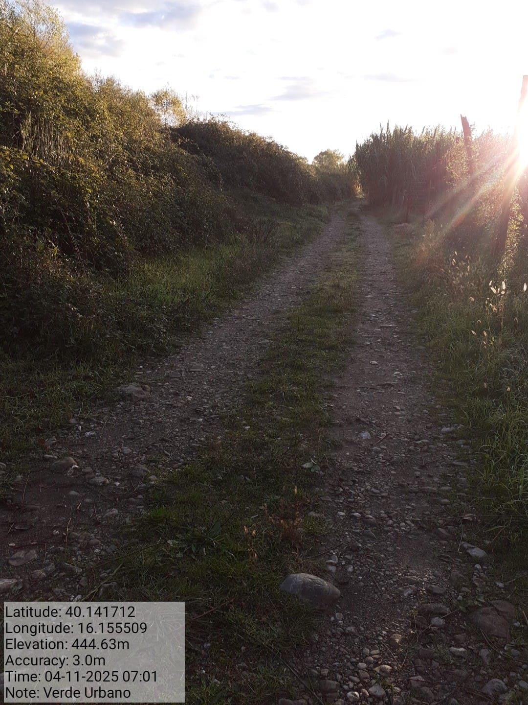 Galleria Fotografica Immagine