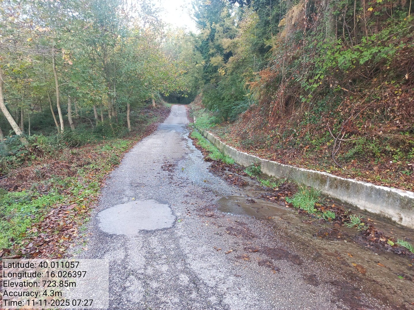 Galleria Fotografica Immagine