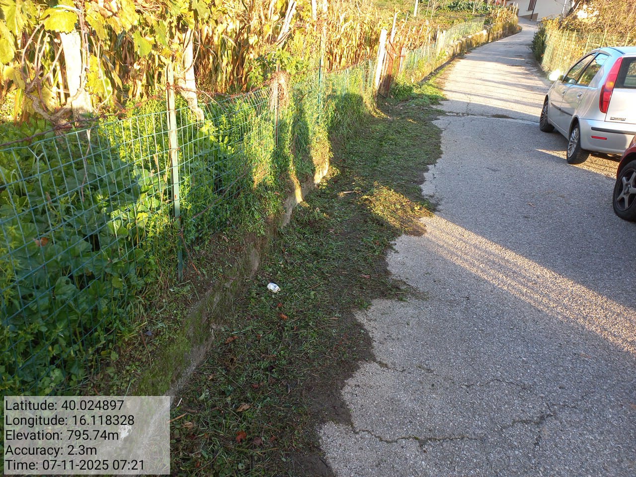 Galleria Fotografica Immagine