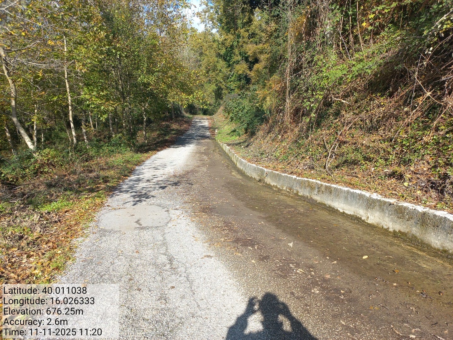 Galleria Fotografica Immagine