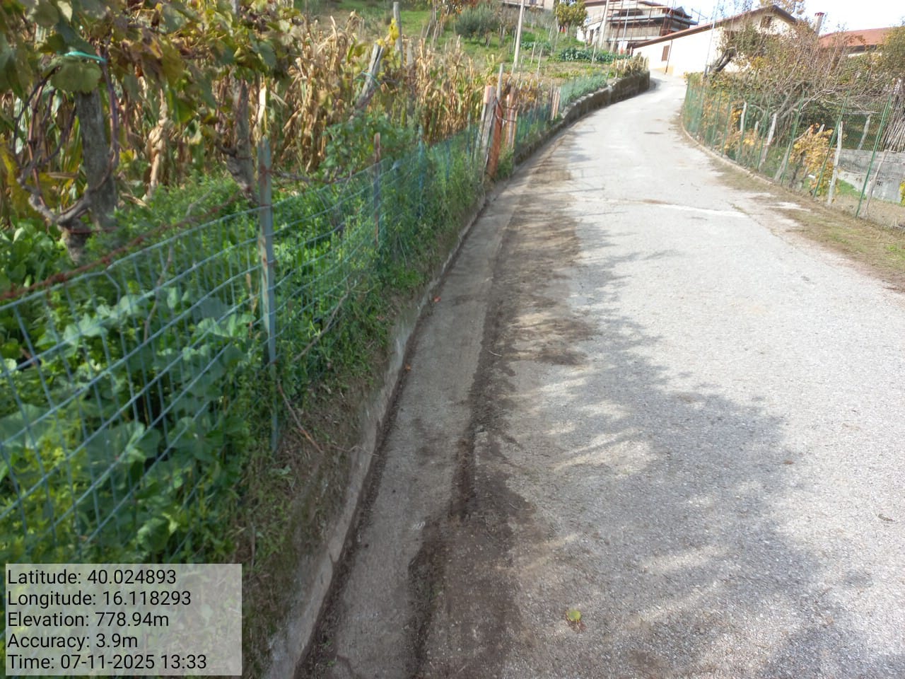 Galleria Fotografica Immagine