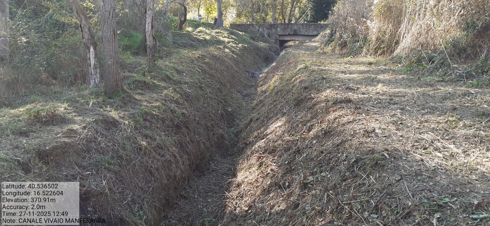 Galleria Fotografica Immagine