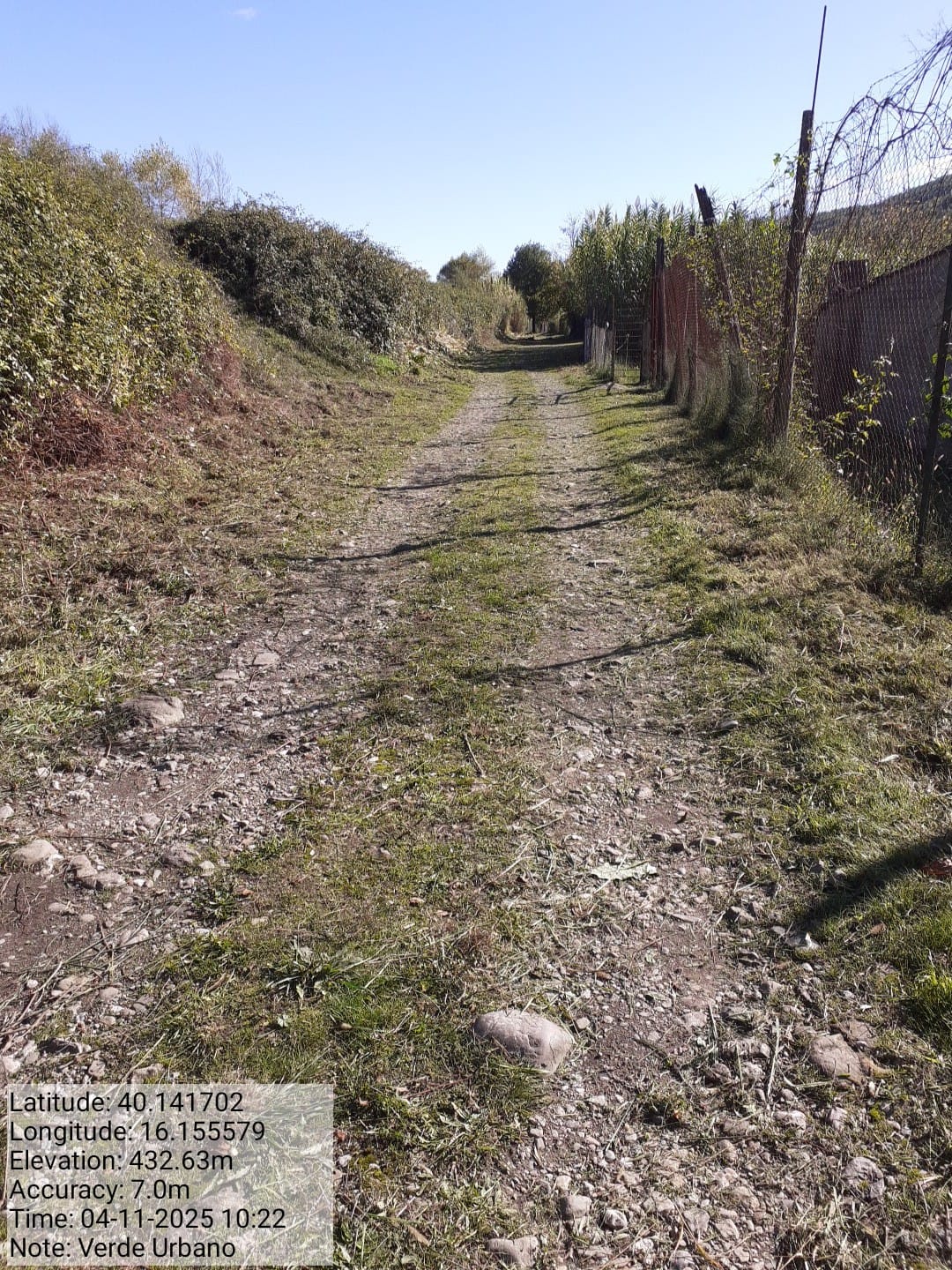 Galleria Fotografica Immagine