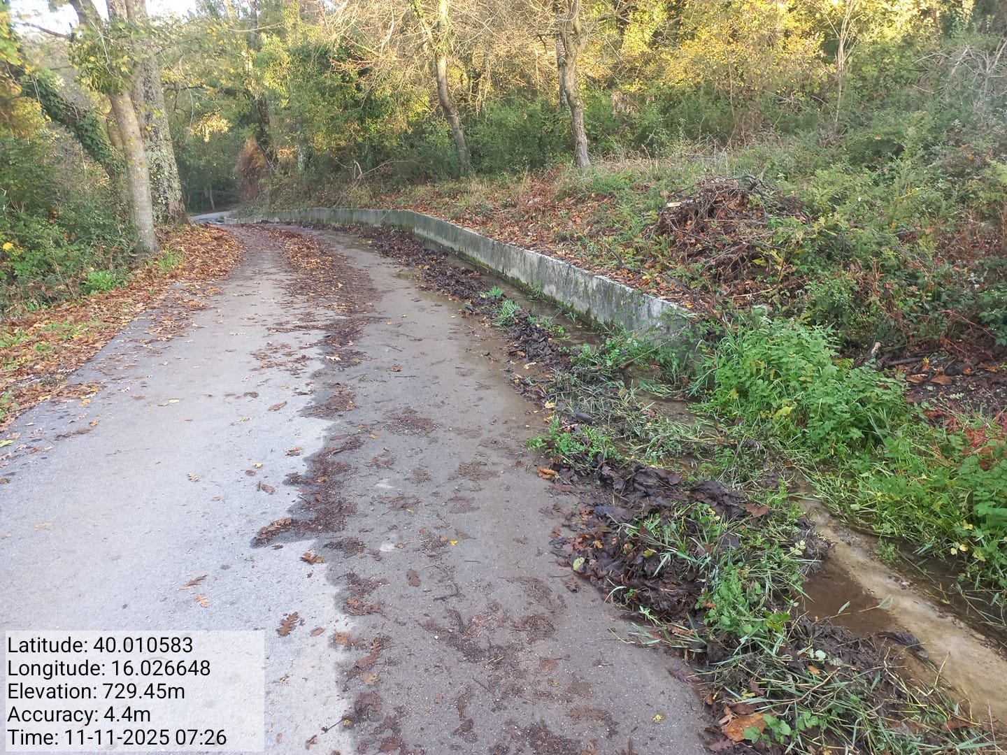 Galleria Fotografica Immagine