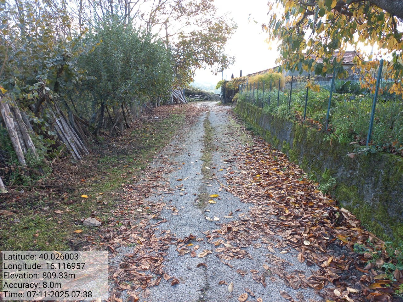 Galleria Fotografica Immagine