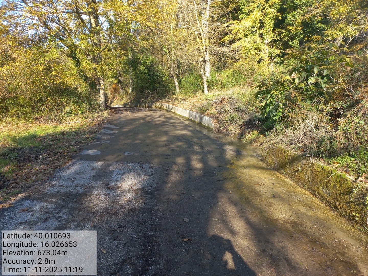 Galleria Fotografica Immagine