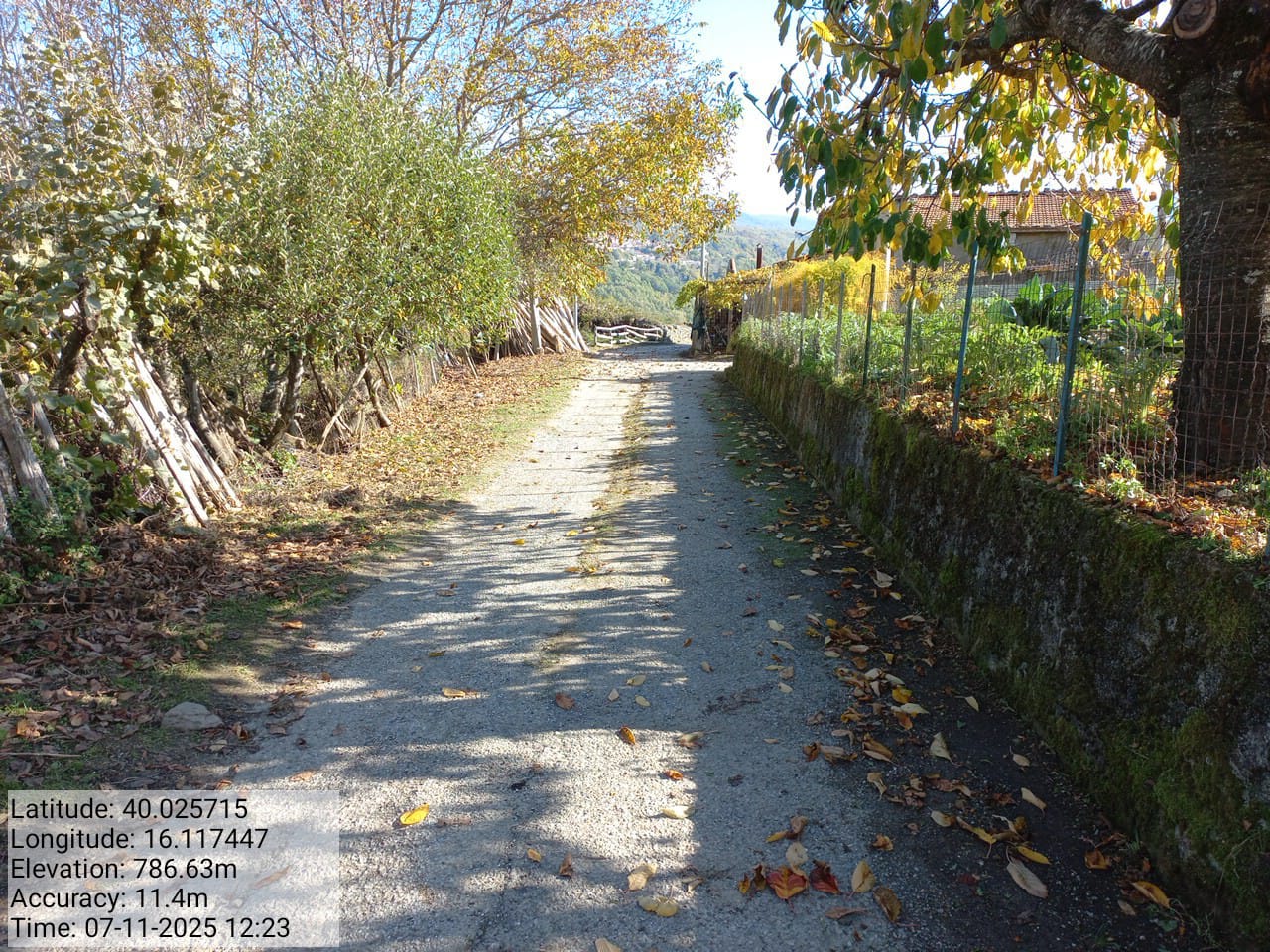 Galleria Fotografica Immagine