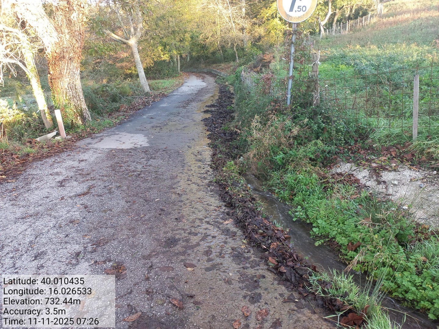 Galleria Fotografica Immagine