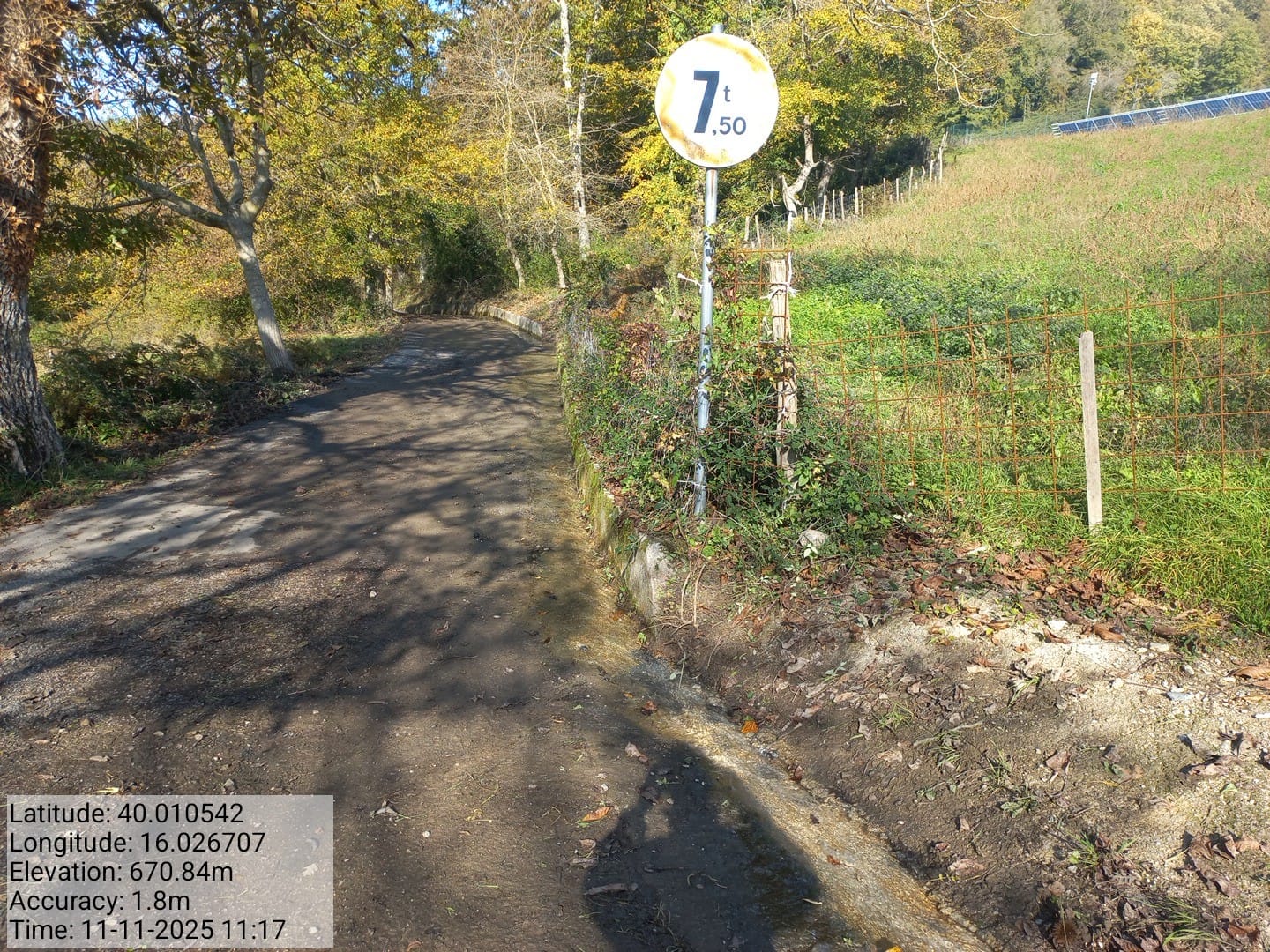 Galleria Fotografica Immagine