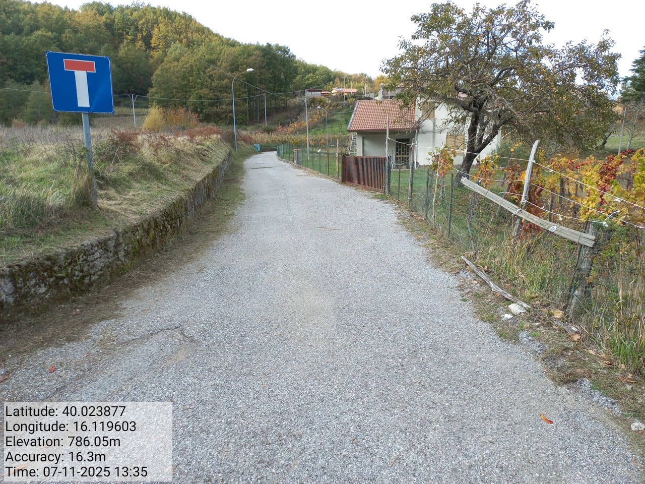 Galleria Fotografica Immagine