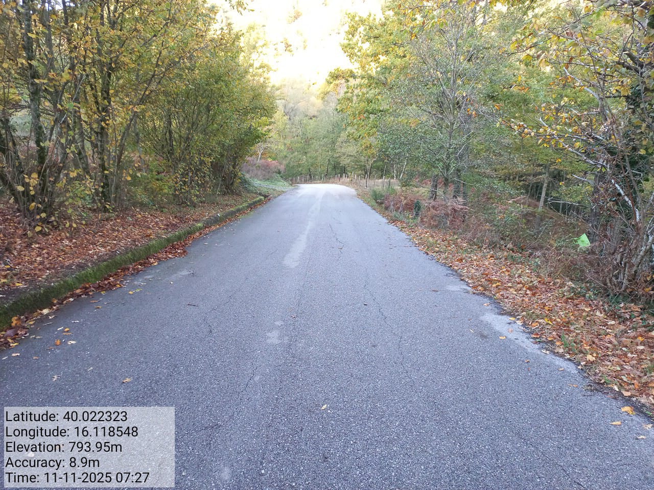 Galleria Fotografica Immagine