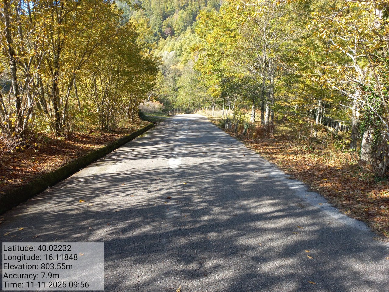 Galleria Fotografica Immagine