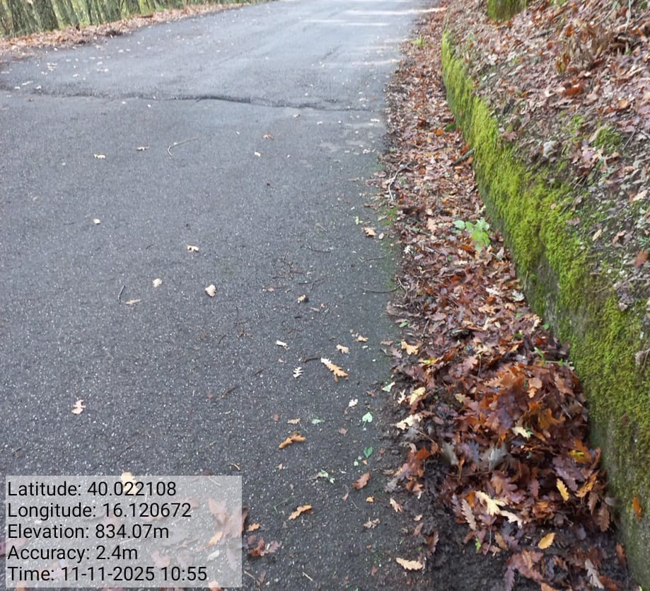 Galleria Fotografica Immagine