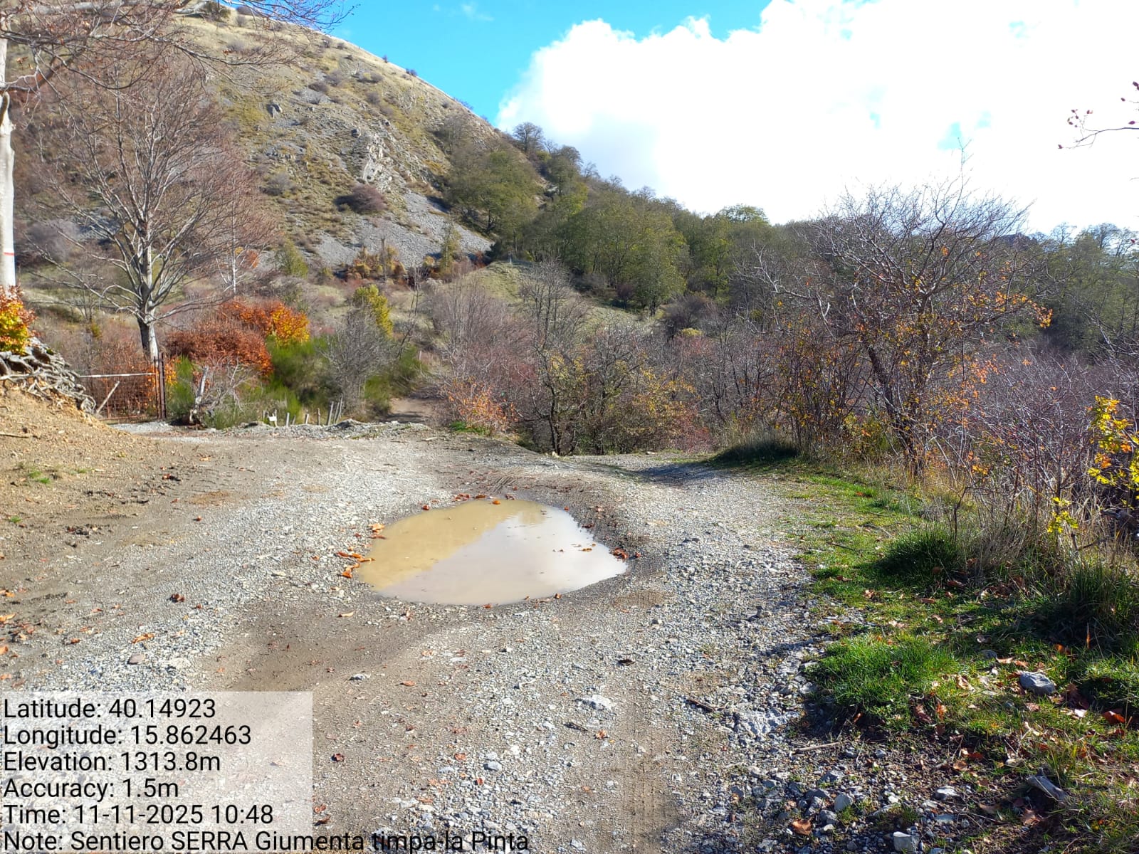 Galleria Fotografica Immagine