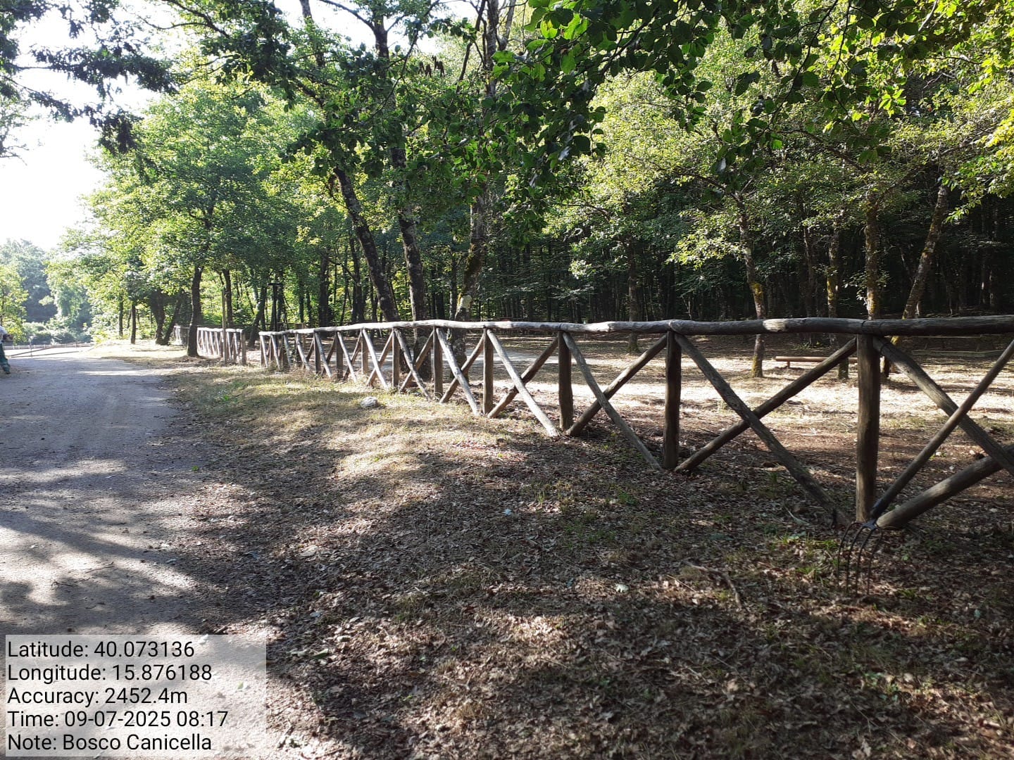 Galleria Fotografica Immagine