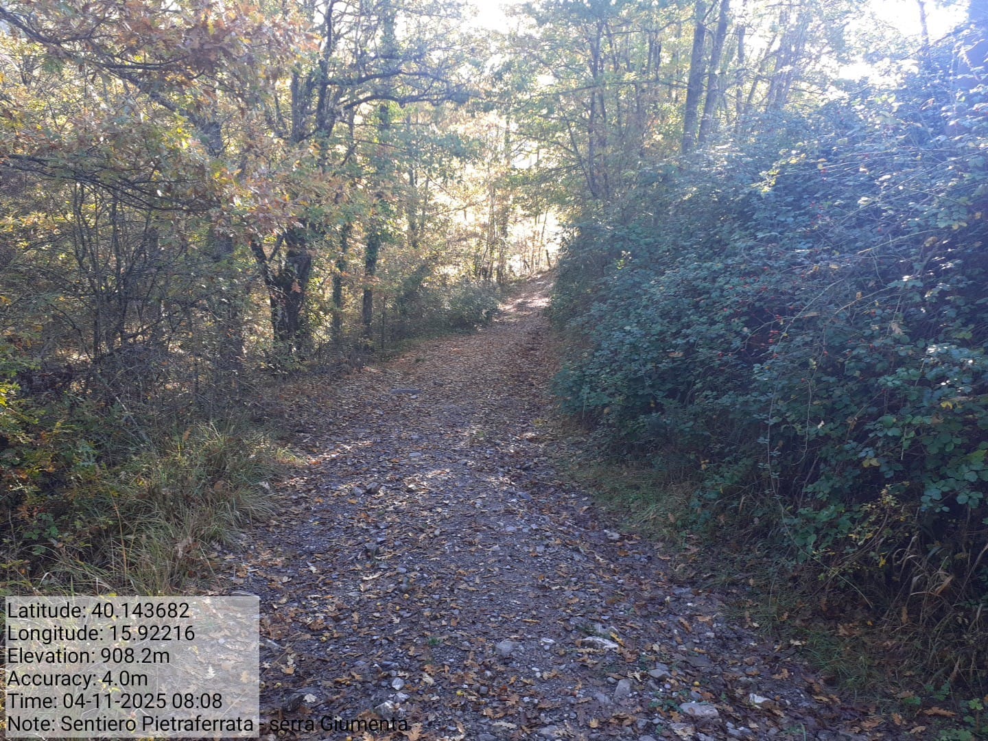 Galleria Fotografica Immagine