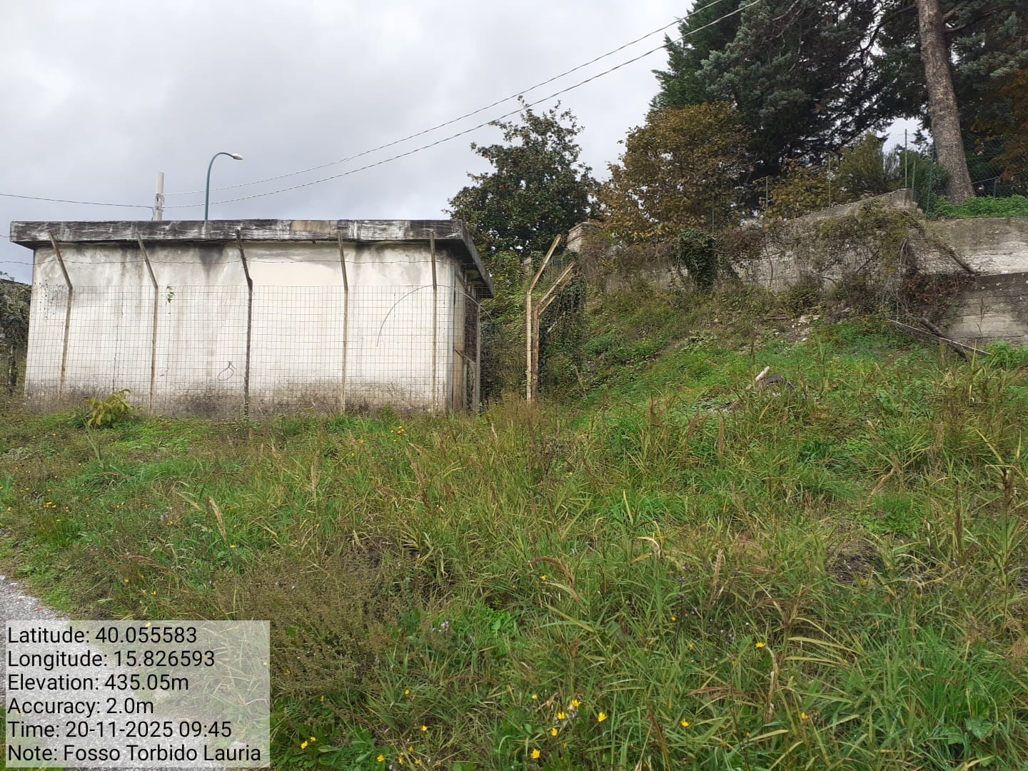 Galleria Fotografica Immagine