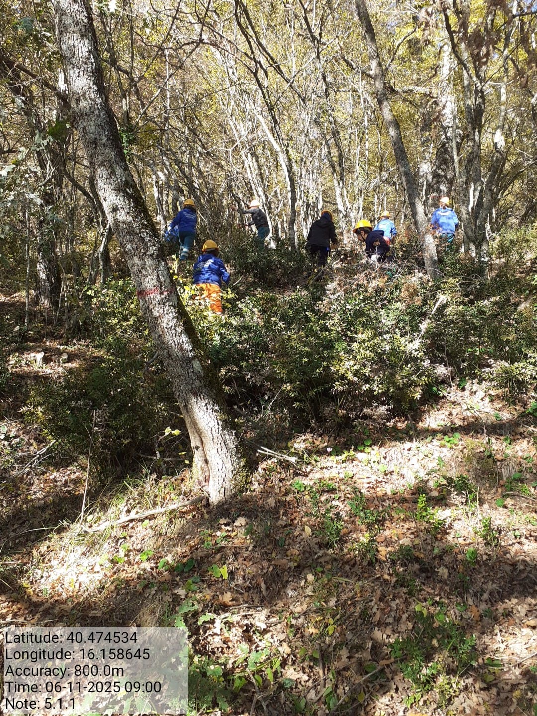 Galleria Fotografica Immagine