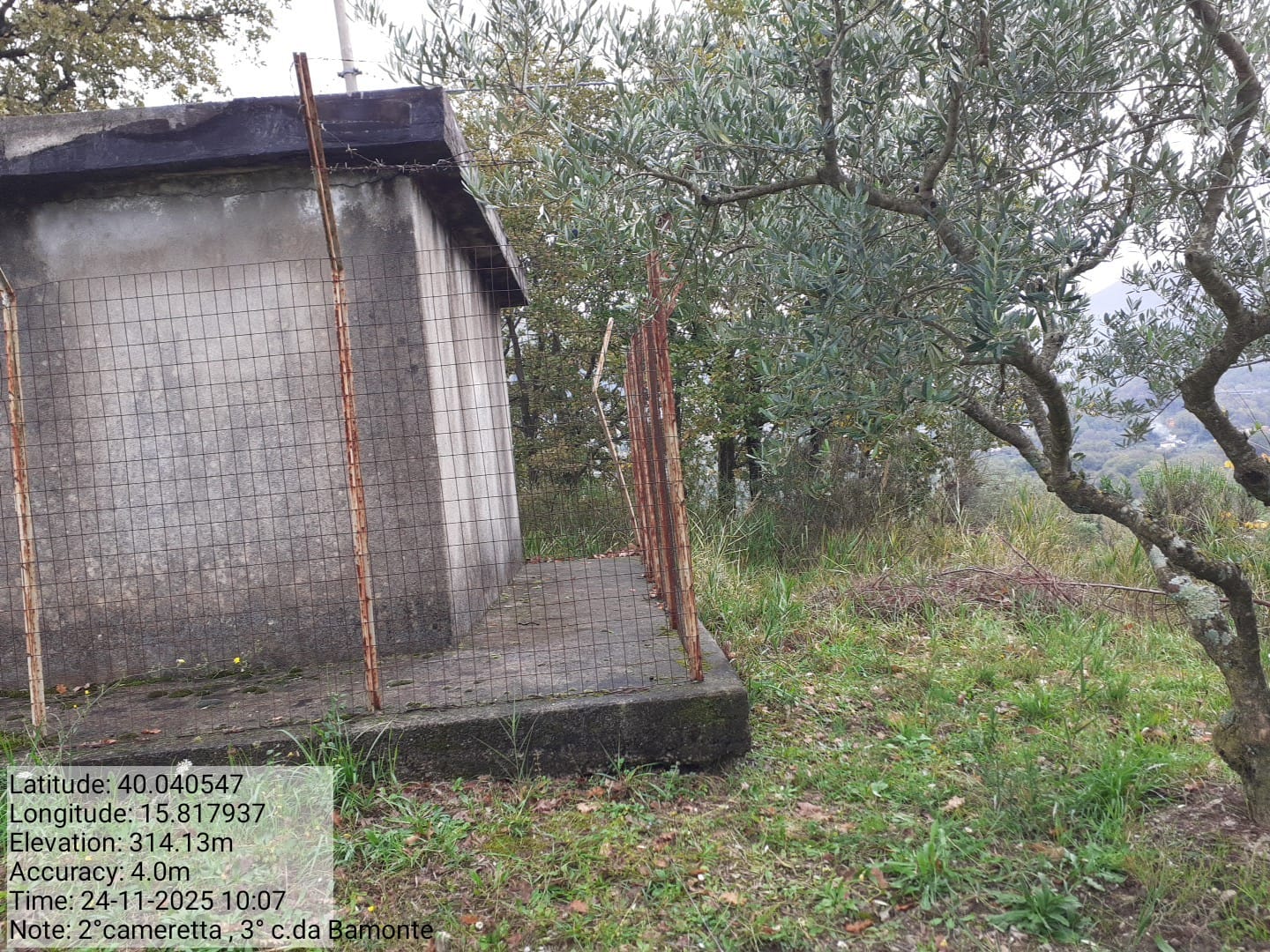 Galleria Fotografica Immagine