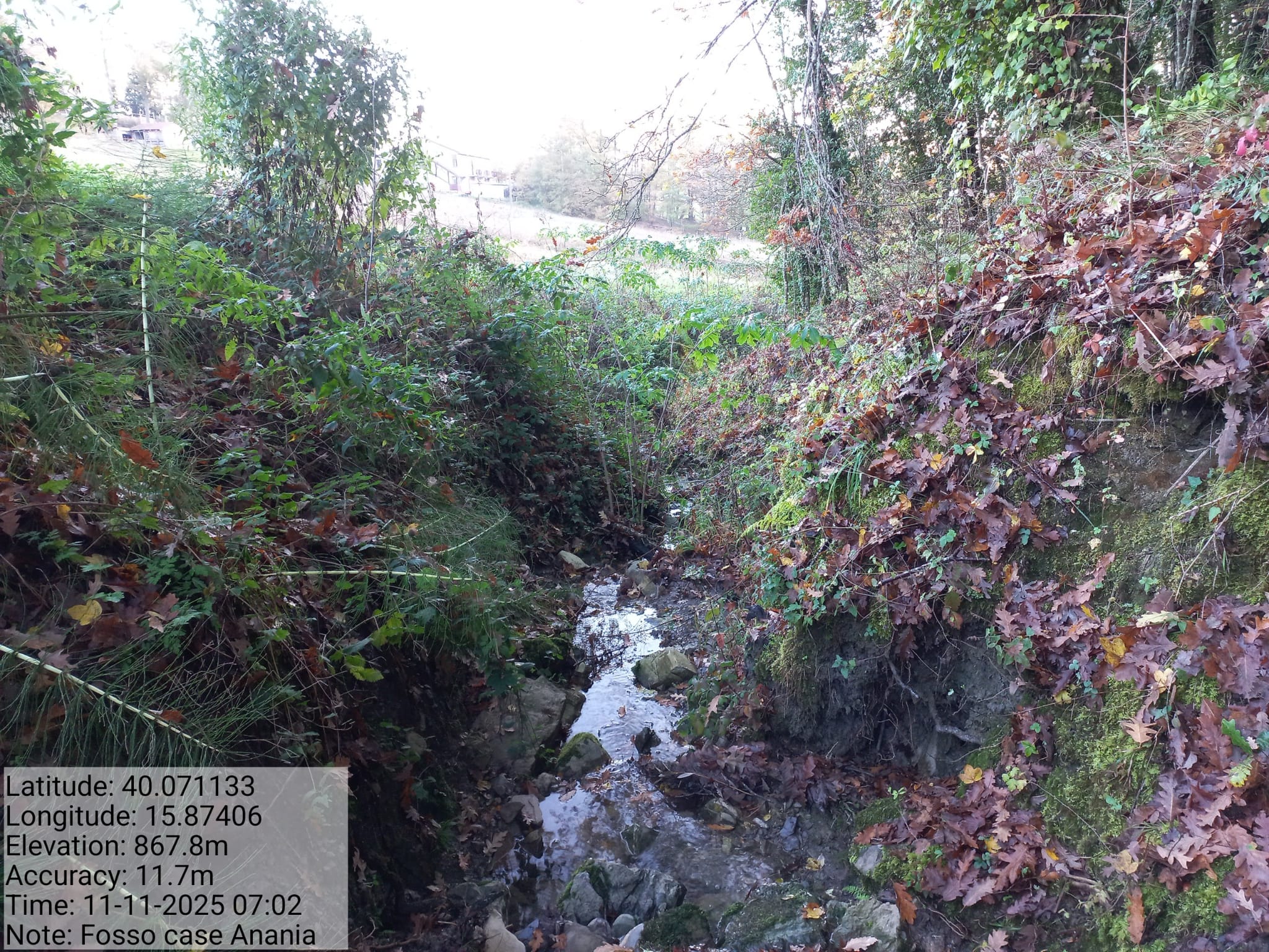 Galleria Fotografica Immagine