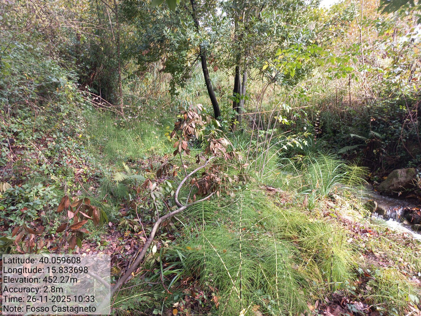 Galleria Fotografica Immagine