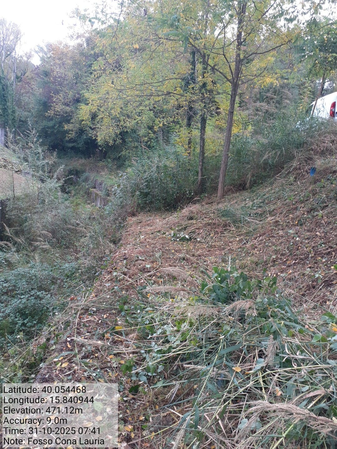 Galleria Fotografica Immagine