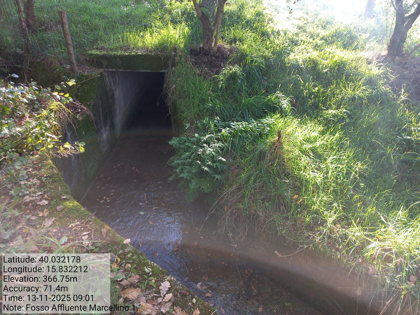 Galleria Fotografica Immagine