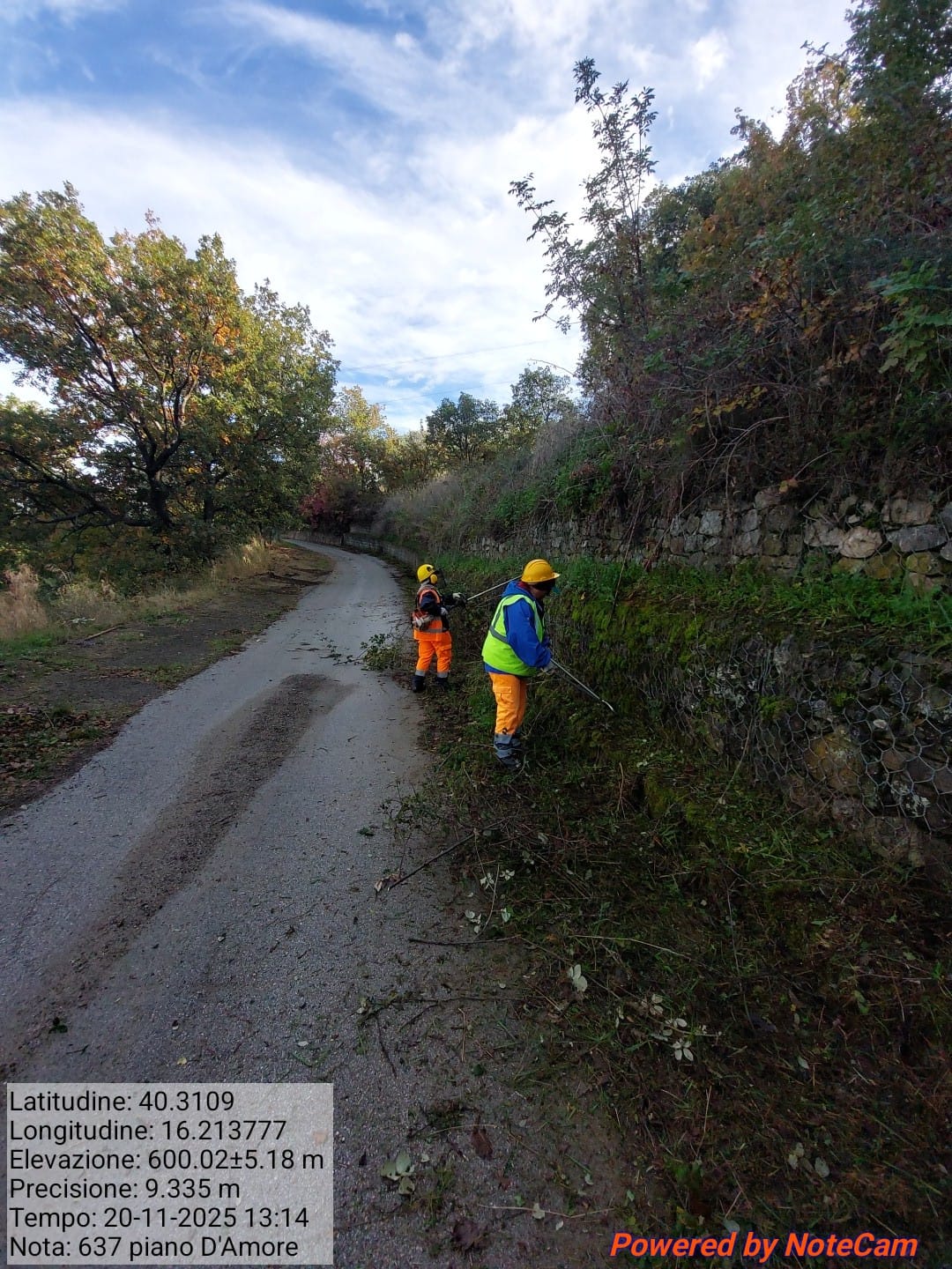 Galleria Fotografica Immagine