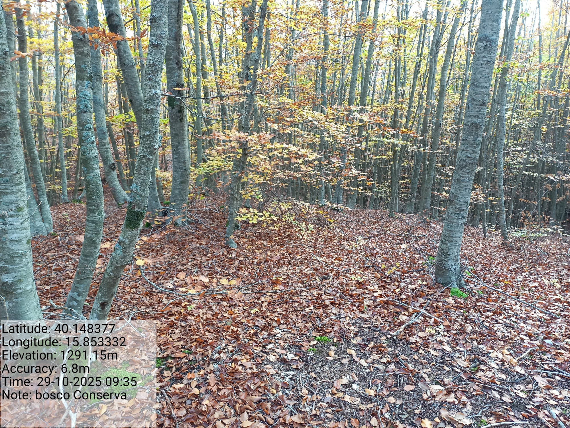 Galleria Fotografica Immagine