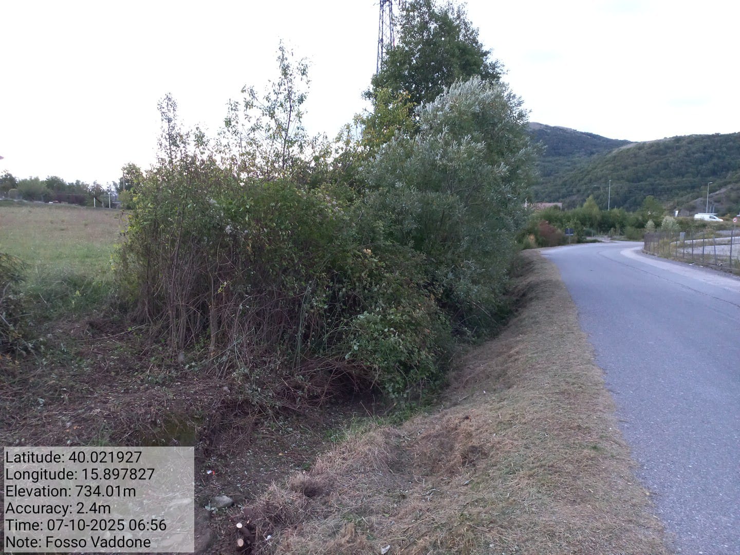 Galleria Fotografica Immagine