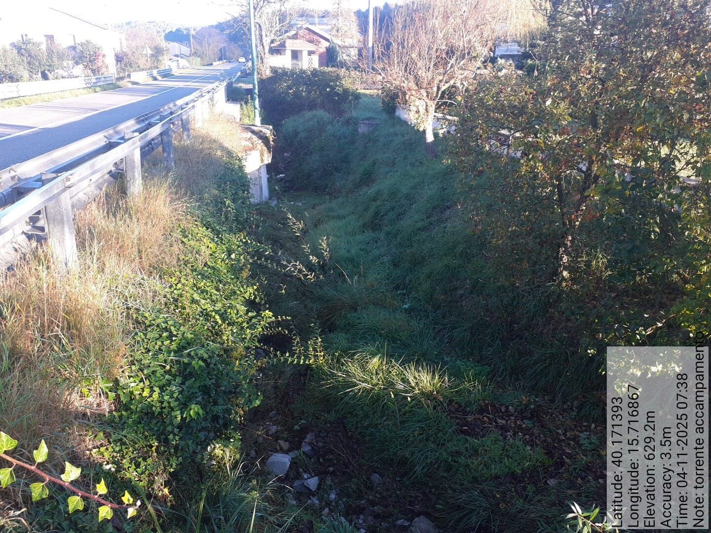 Galleria Fotografica Immagine