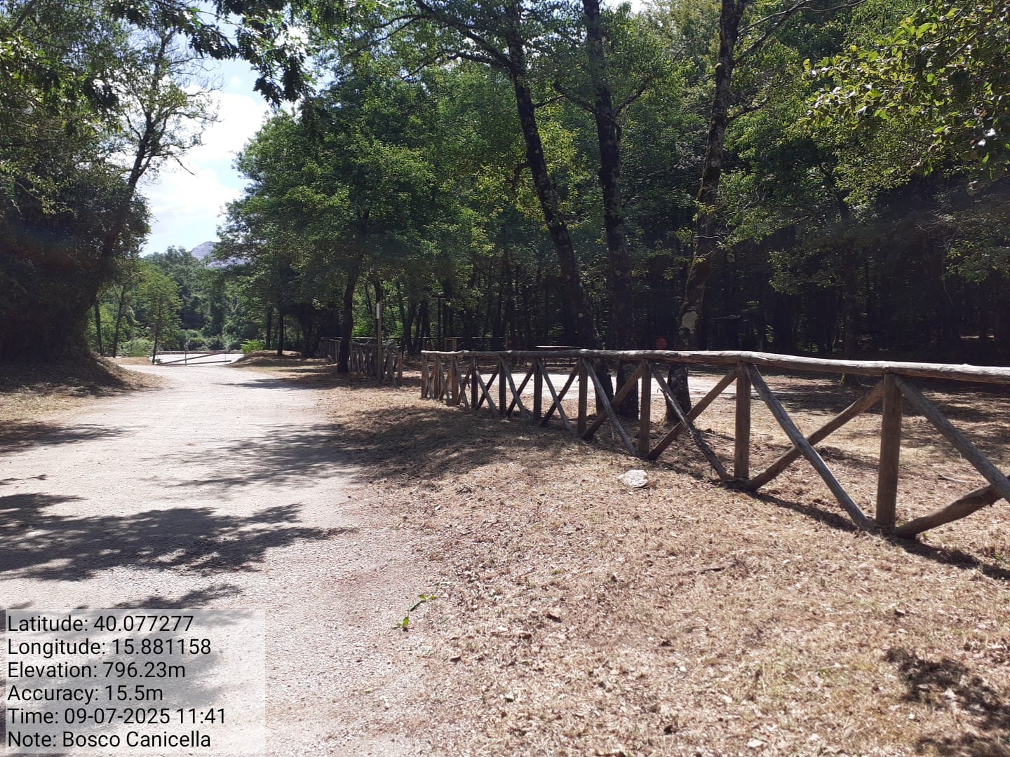 Galleria Fotografica Immagine