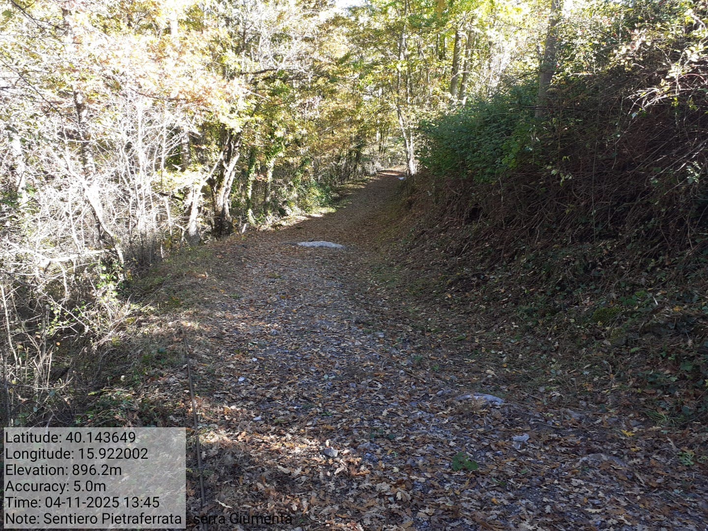 Galleria Fotografica Immagine