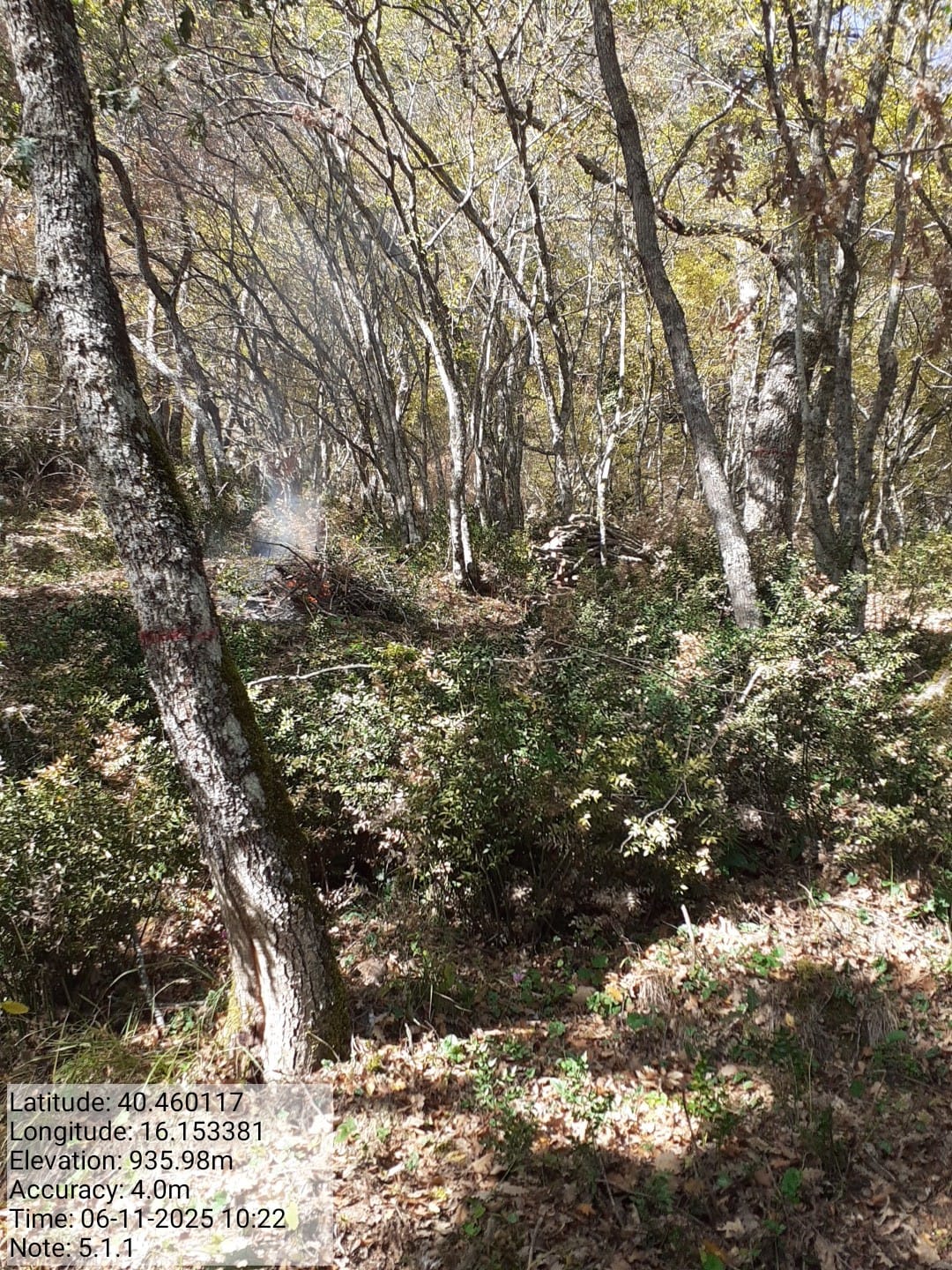 Galleria Fotografica Immagine