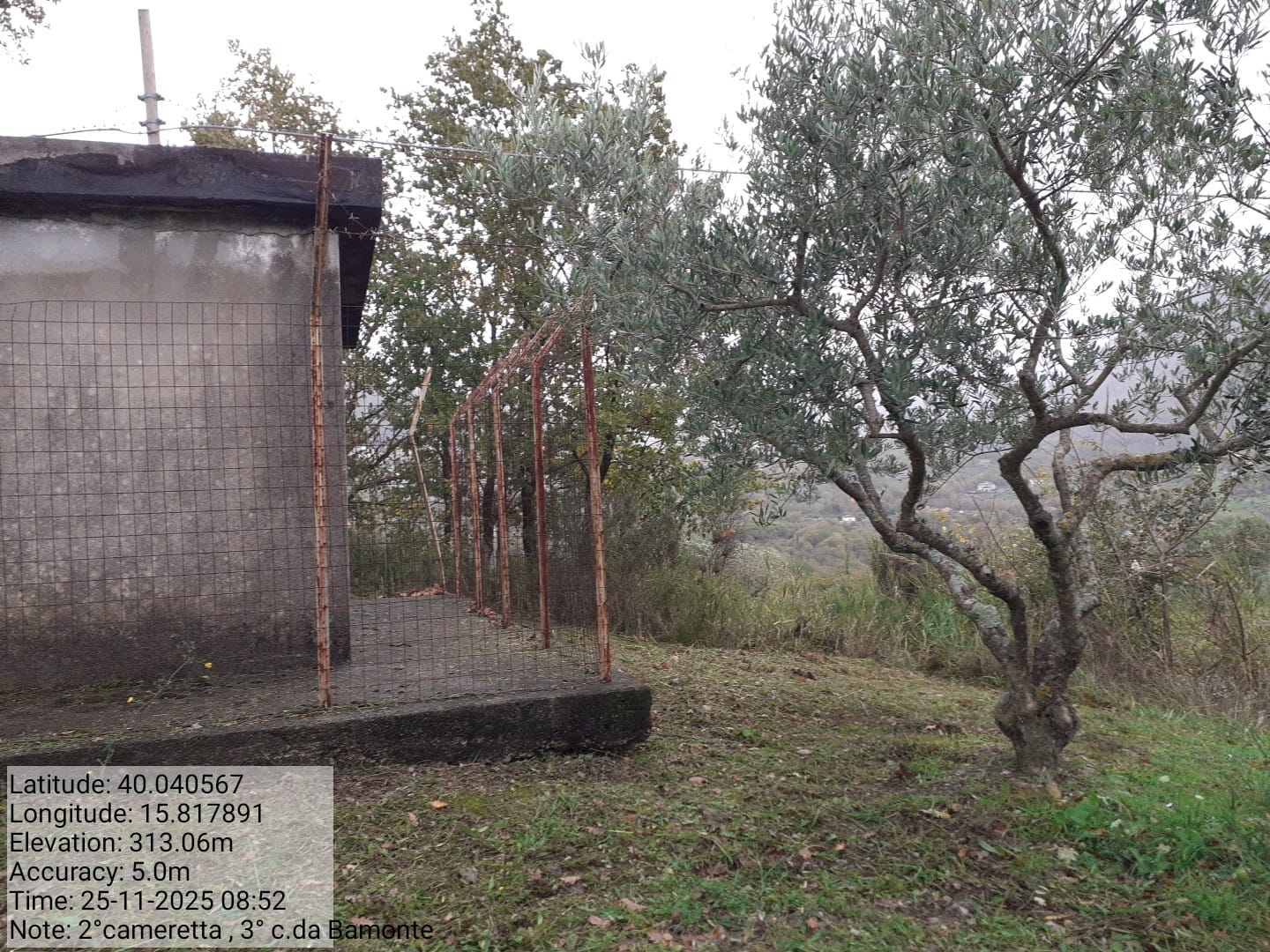 Galleria Fotografica Immagine