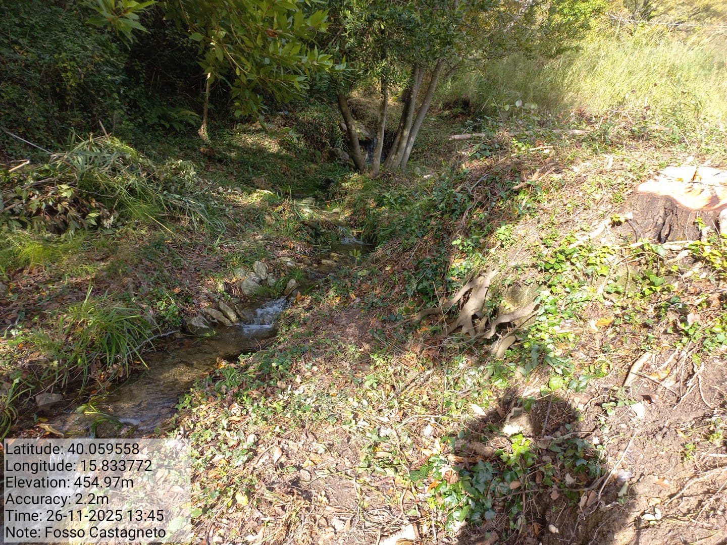 Galleria Fotografica Immagine