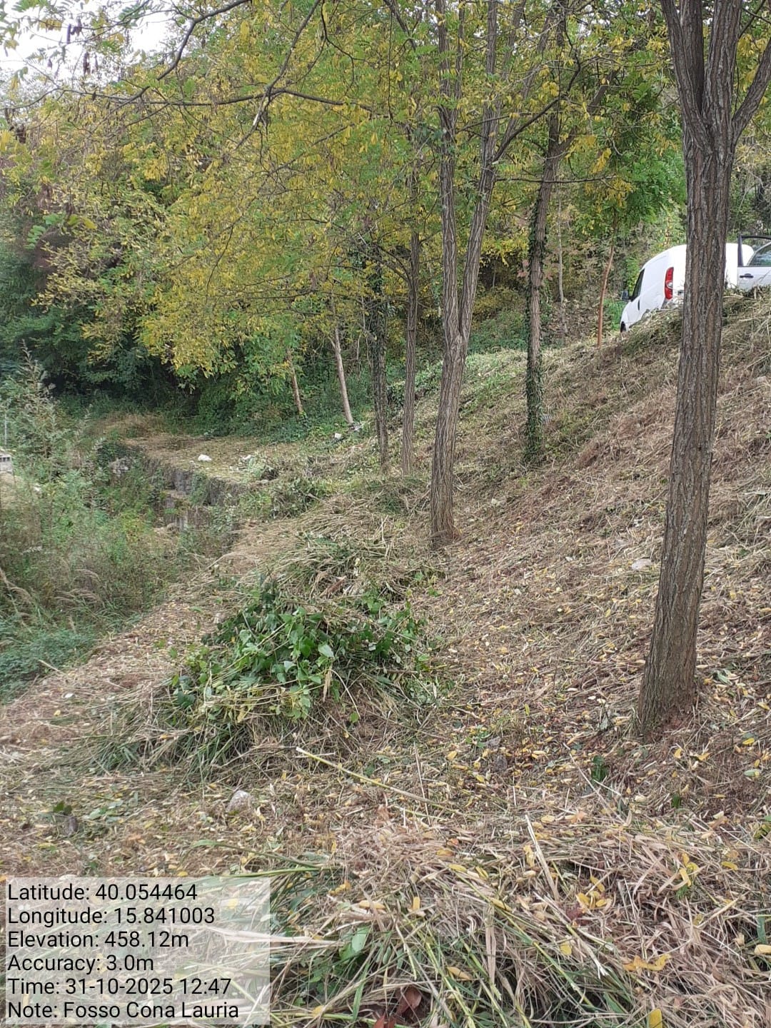 Galleria Fotografica Immagine