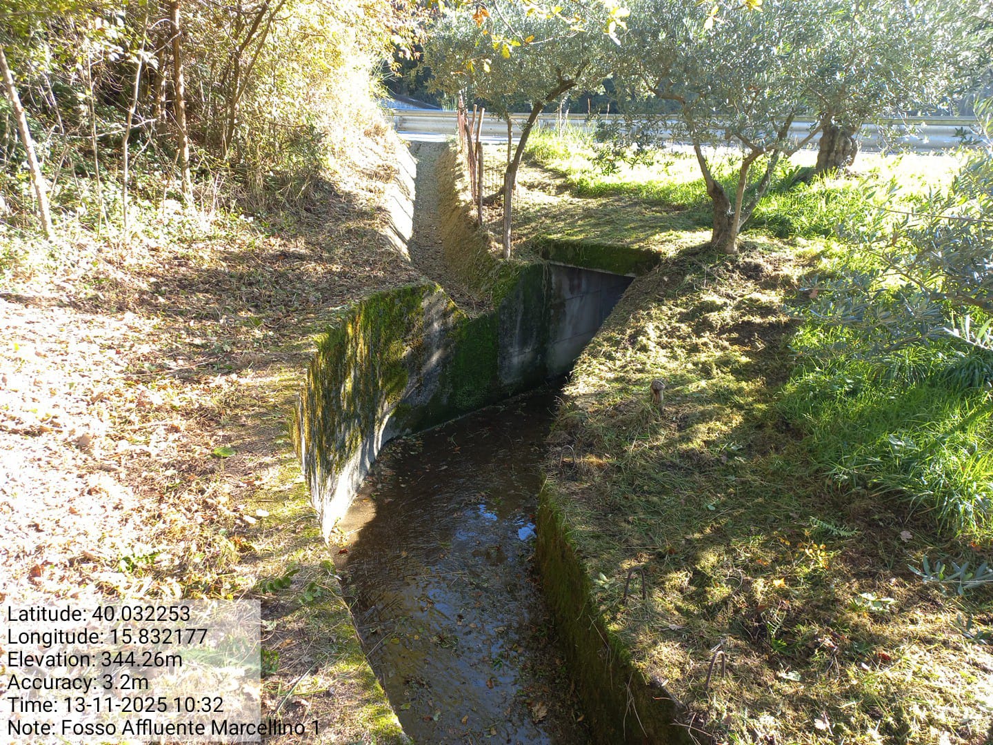 Galleria Fotografica Immagine