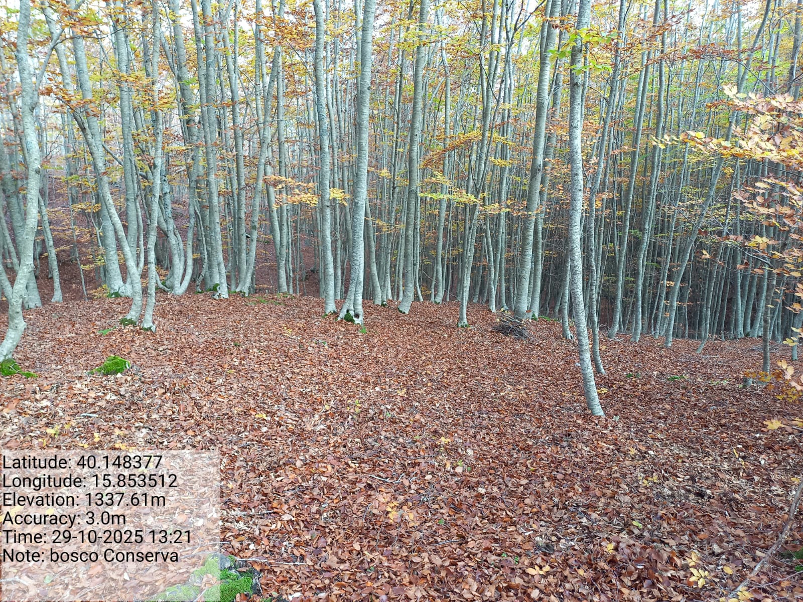 Galleria Fotografica Immagine