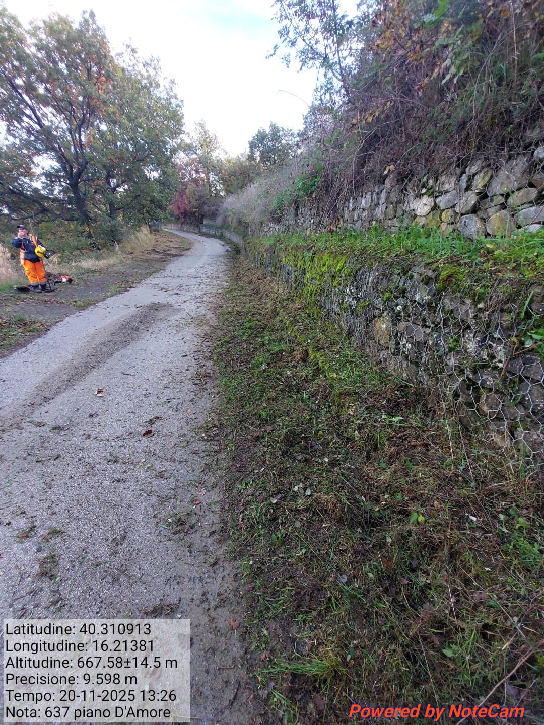 Galleria Fotografica Immagine