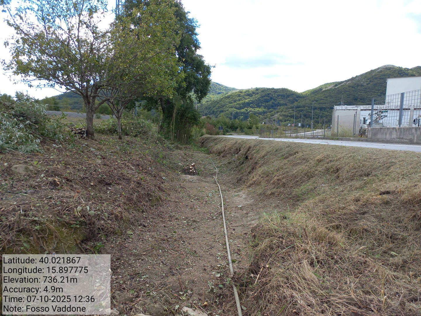 Galleria Fotografica Immagine