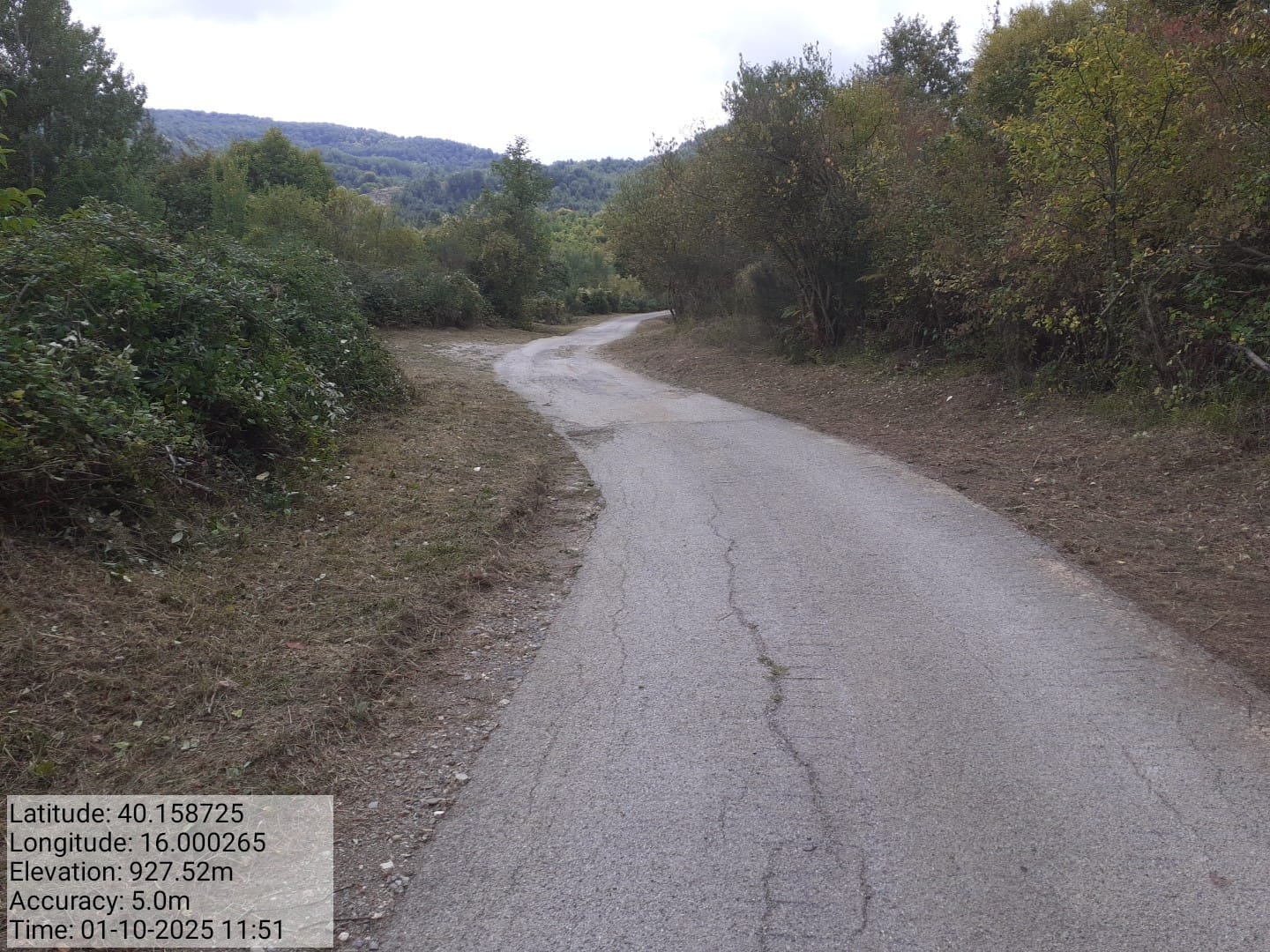 Galleria Fotografica Immagine