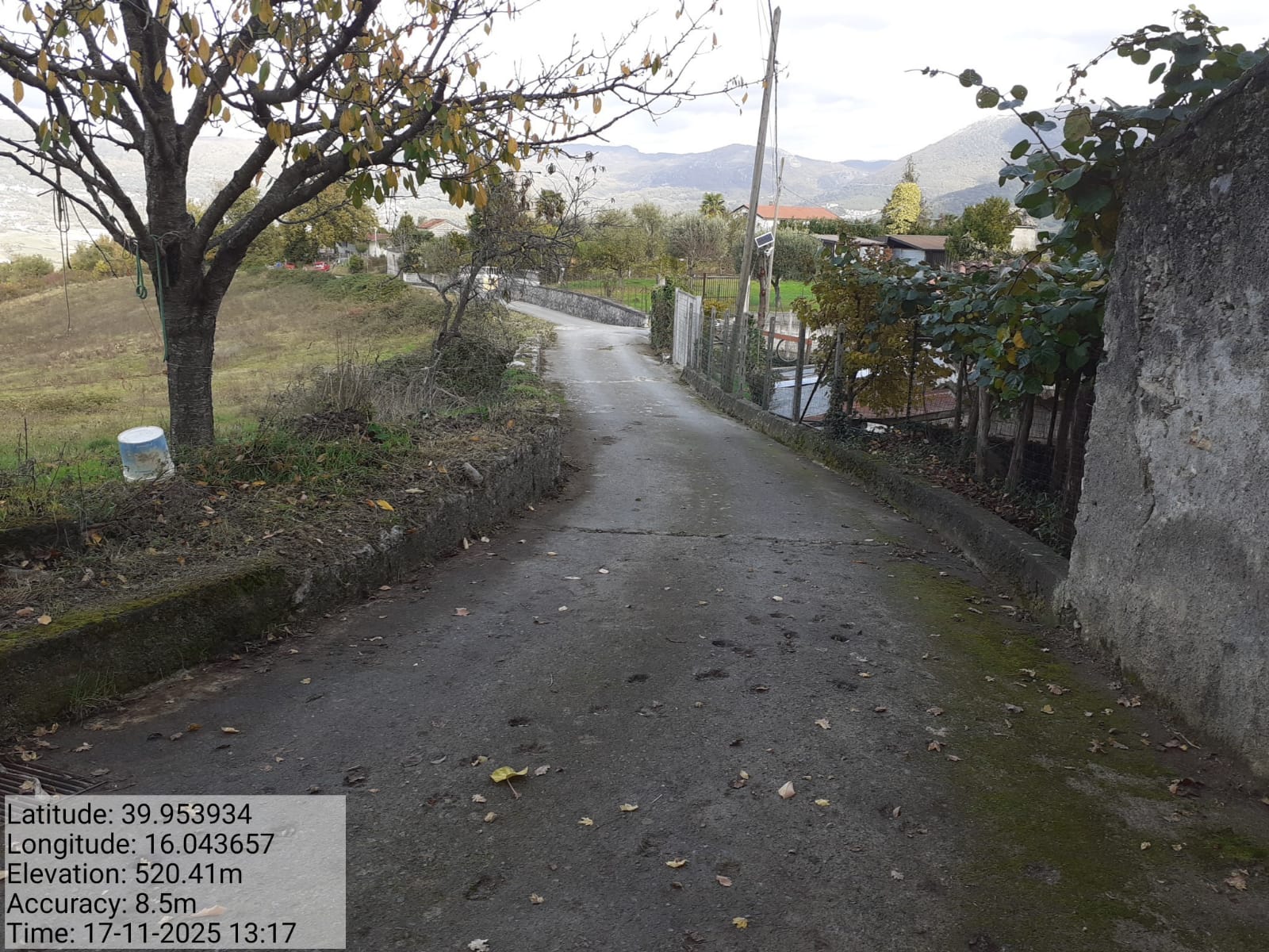 Galleria Fotografica Immagine