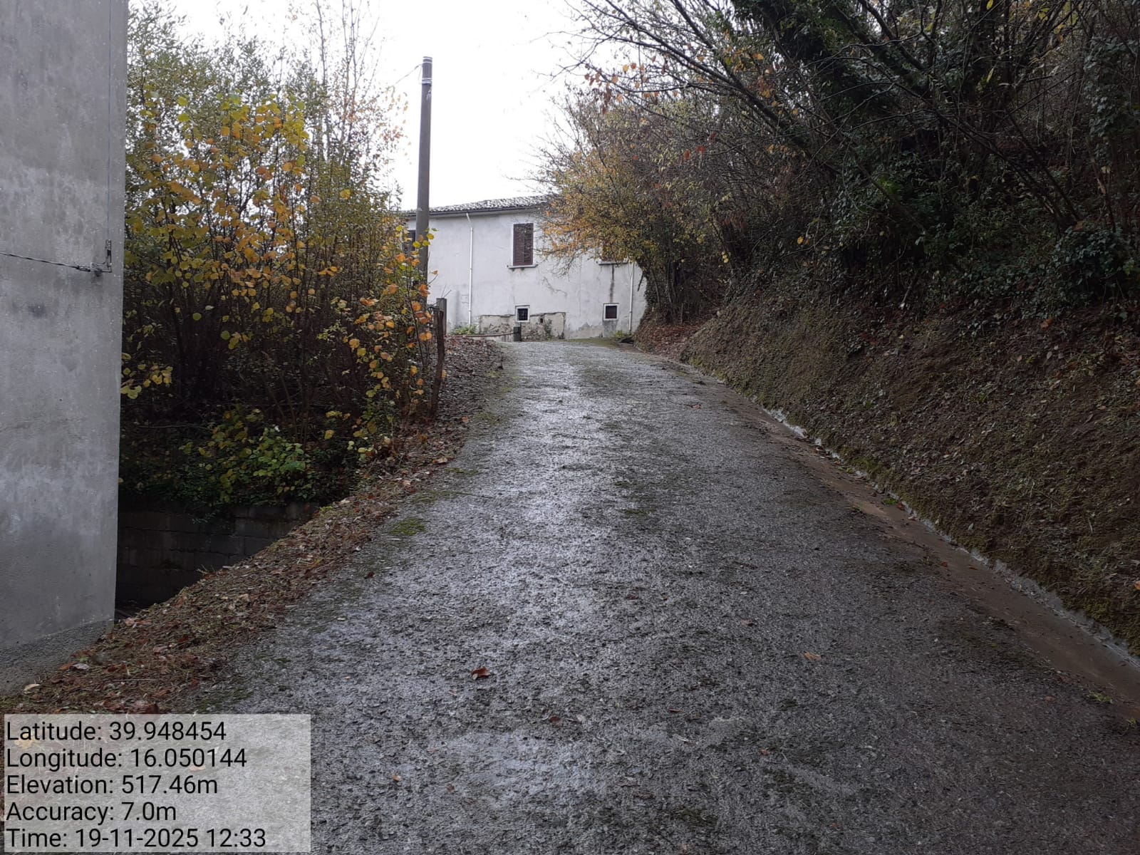 Galleria Fotografica Immagine