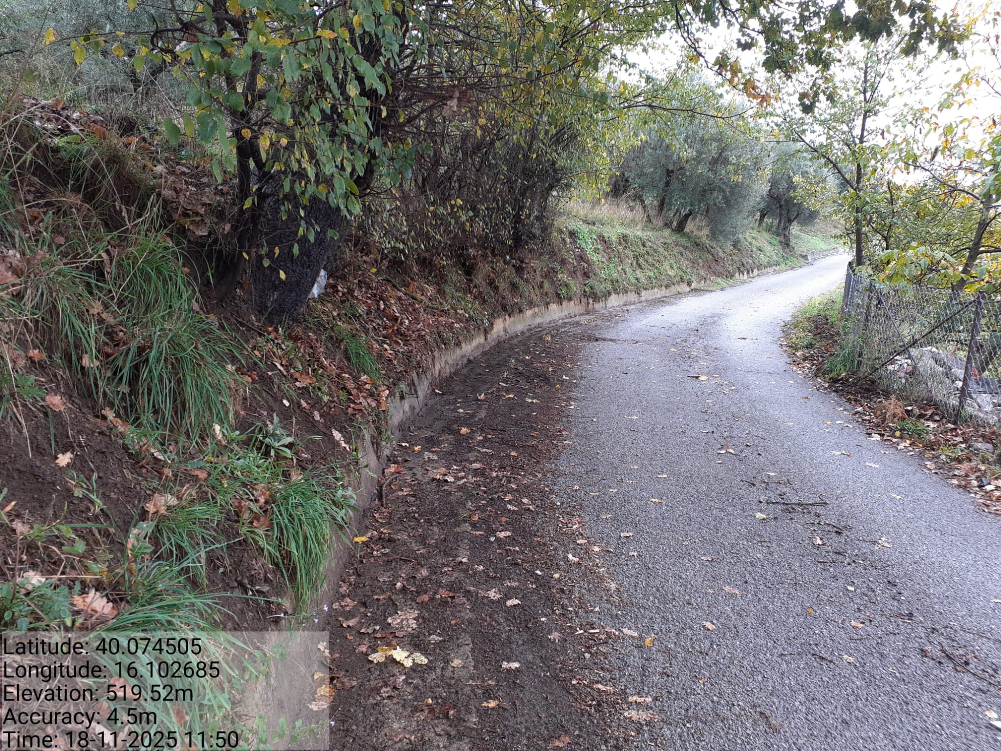 Galleria Fotografica Immagine