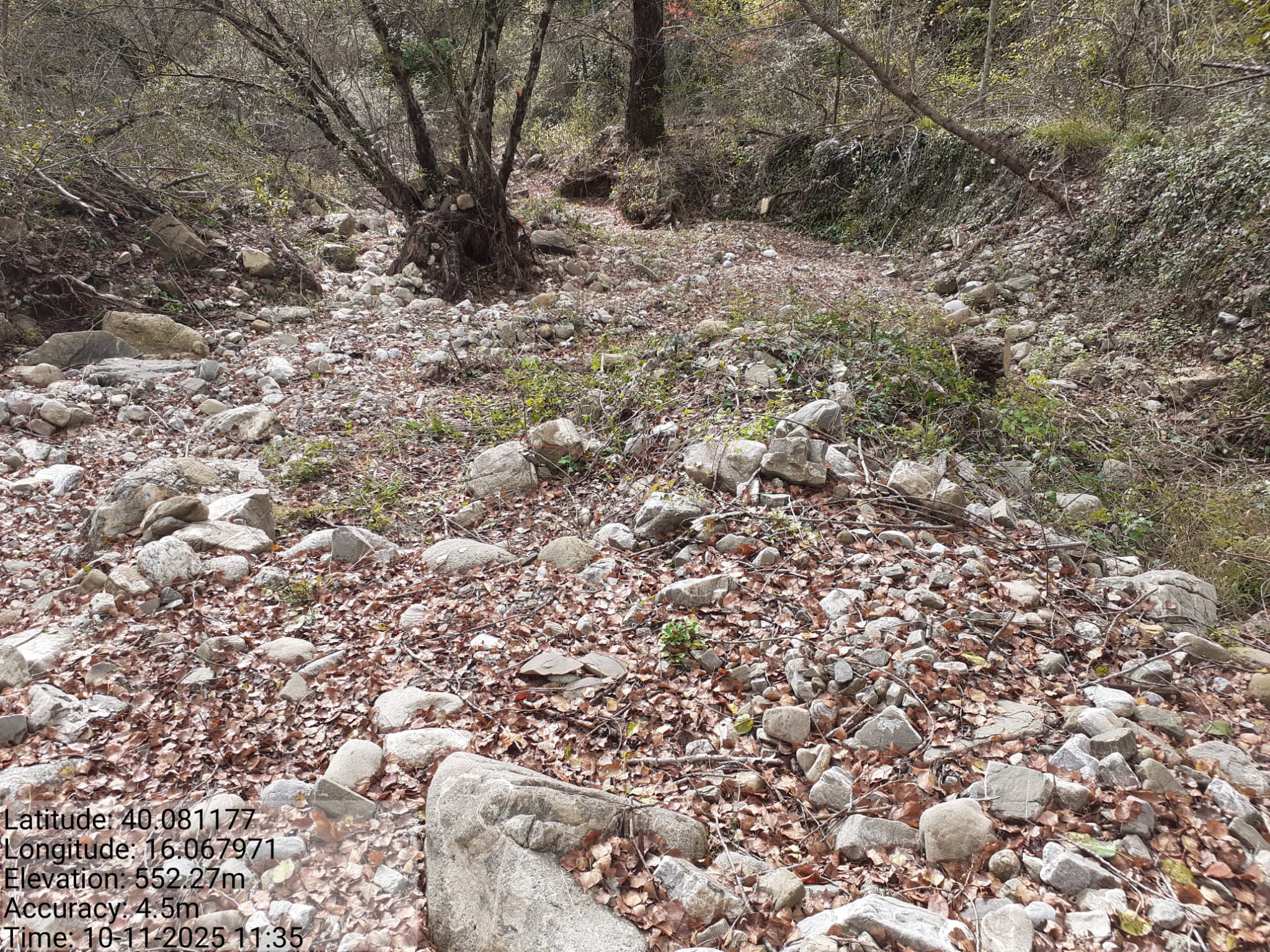 Galleria Fotografica Immagine