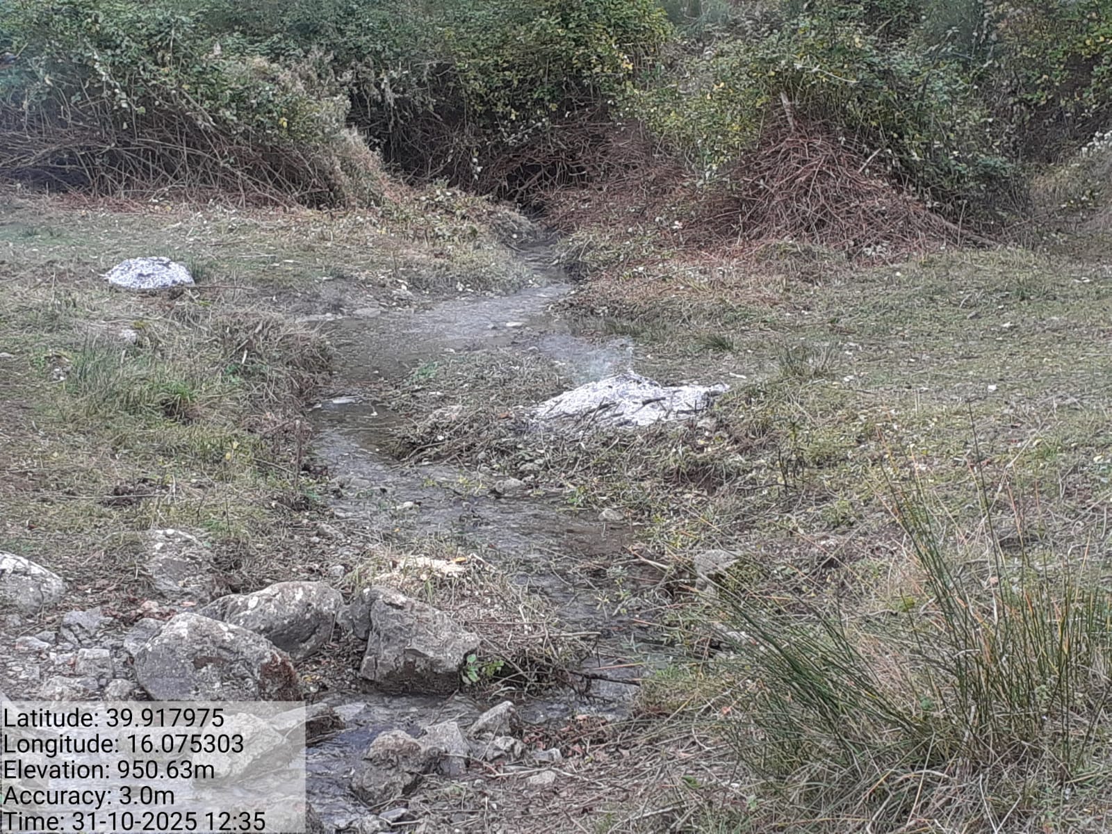 Galleria Fotografica Immagine